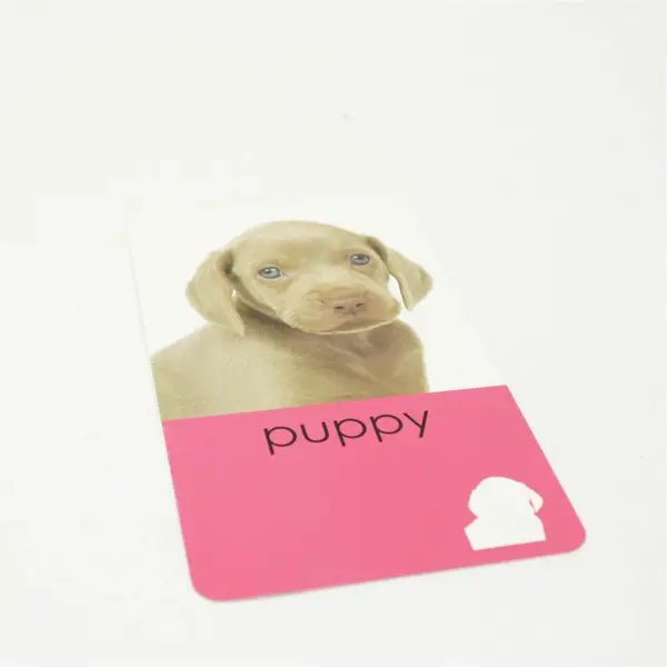 Sticker Flashcards Animals Early Learning Preschool Vocabulary Reading