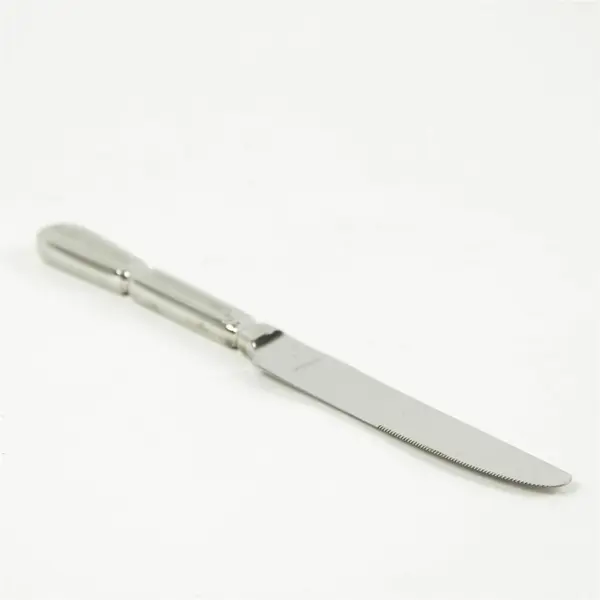 Set of 4 Oneida Palladian "New French" Hollow Stainless Knives