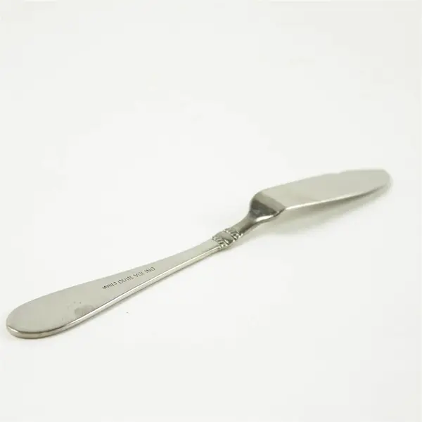 Set of 2 Oneida Avondale Stainless Flat Handle Master Butter Knives