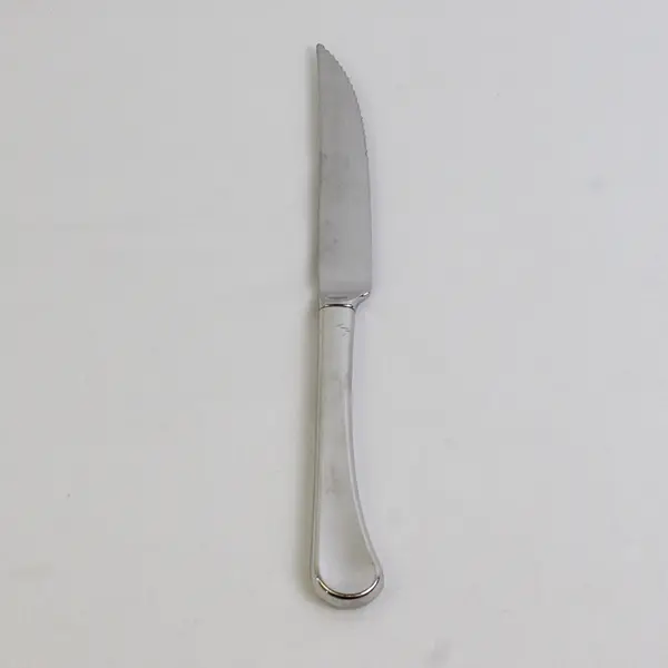 Oneida Silver Caprice Pattern 18/8 SS Serrated Steak Knife  9.5" Rare HTF Good