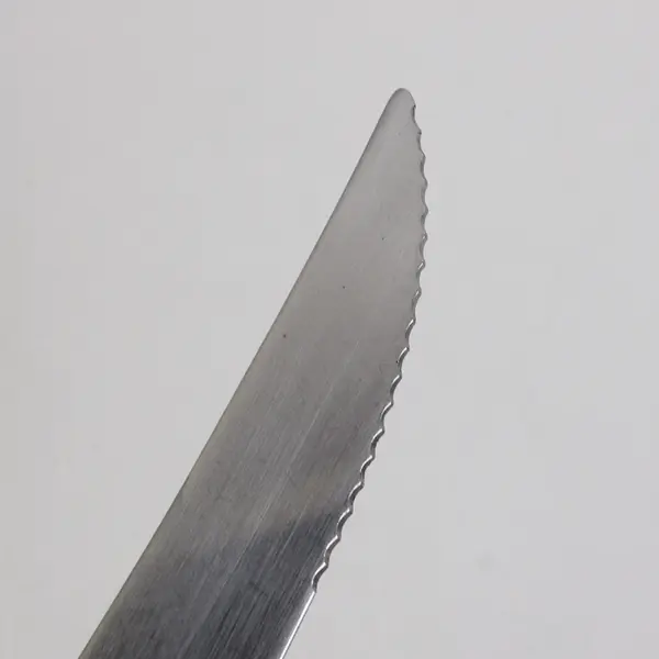 Oneida Silver Caprice Pattern 18/8 SS Serrated Steak Knife  9.5" Rare HTF Good