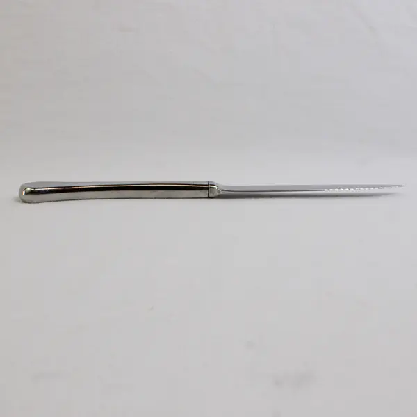 Oneida Silver Caprice Pattern 18/8 SS Serrated Steak Knife  9.5" Rare HTF Good