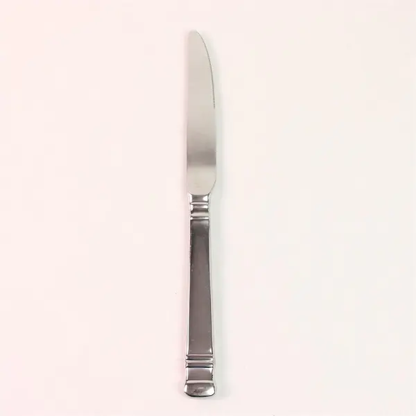 Oneida Silver Chalcis Pattern 18/10 Stainless Steel Solid Dinner Knife 9.5" Good