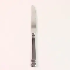 Oneida Silver Chalcis Pattern 18/10 Stainless Steel Solid Dinner Knife 9.5" Good