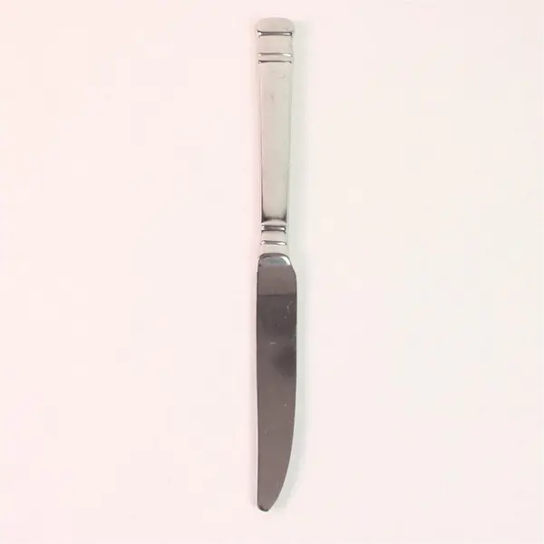 Oneida Silver Chalcis Pattern 18/10 Stainless Steel Solid Dinner Knife 9.5" Good