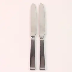 Lot of 2 Oneida Silver Paella Pattern Stainless Solid Dinner Knives 9.25" Rare 