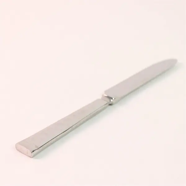 Lot of 2 Oneida Silver Paella Pattern Stainless Solid Dinner Knives 9.25" Rare 