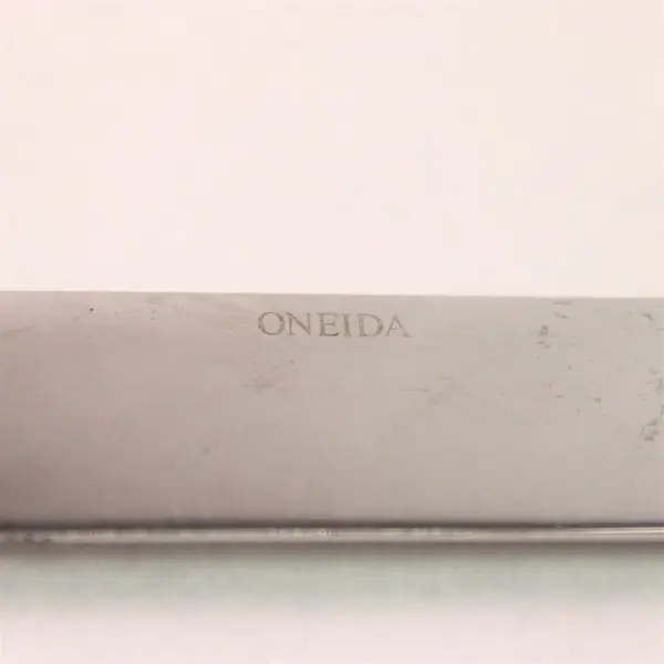 Lot of 2 Oneida Silver Paella Pattern Stainless Solid Dinner Knives 9.25" Rare 
