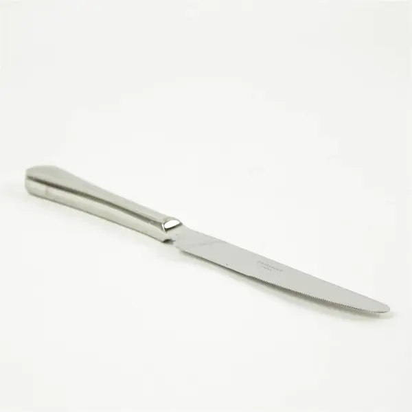 Set of 4 Wallace Casino Stainless Modern Dinner Knives 9.5in