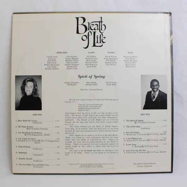 Breath Of Life 12" Vinyl Record