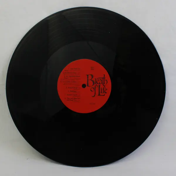 Breath Of Life 12" Vinyl Record