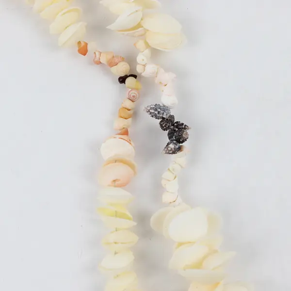 Lot of 2 Sea Snail and White Clam Shell Beaded String Necklaces 17" & 24"