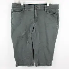 Liz Claiborne Gray Classic Slim Leg Shorts Women's Size 16