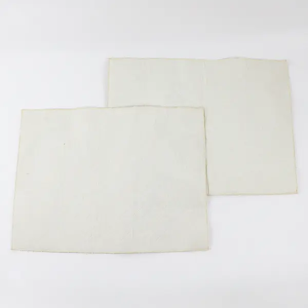 Lot Of 2 Unbranded Matching Gold/Cream Floral Fabric Placemats 13" x 17"