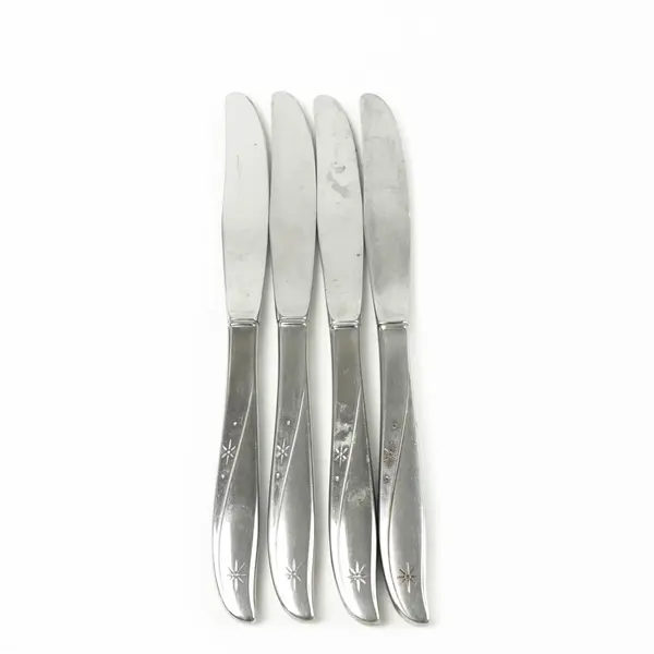 Lot Of 4 Oneida Silver Twin Star (Stainless) Flatware Dinner Knives 9.75" Long