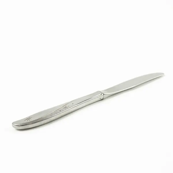 Lot Of 4 Oneida Silver Twin Star (Stainless) Flatware Dinner Knives 9.75" Long