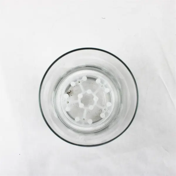 Clear Glass Cylinder Wide Mouth Vase with Plastic Flower Frog