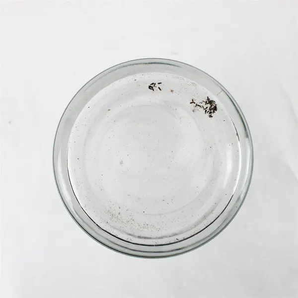 Clear Glass Cylinder Wide Mouth Vase with Plastic Flower Frog