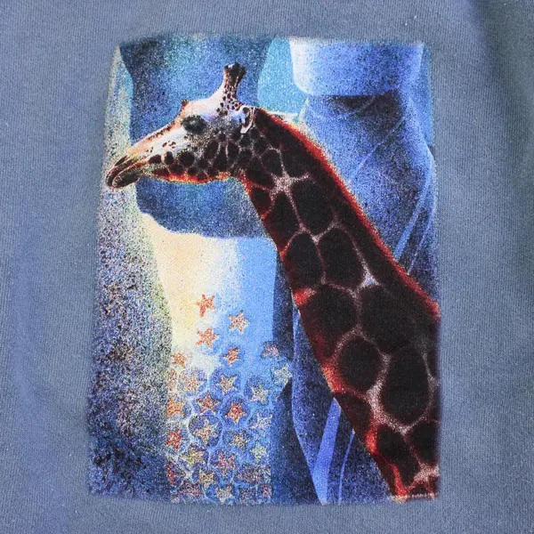NWOT Vtg Comfort Colors Adult S Blue Giraffe Graphic Crew Neck Pullover Sweater