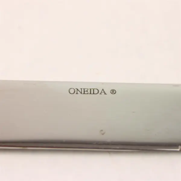 Lot of 6 Oneida Silver Mikayla Pattern Stainless Solid Dinner Knives 9.5" Rare