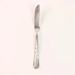 Oneida Silver Merlot Pattern 18/10 Stainless Butter Knife Rare HTF Piece 6.75"