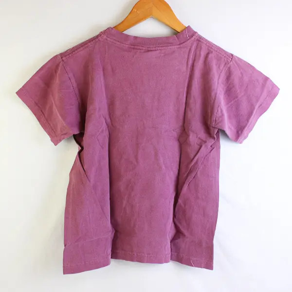 Vtg Comfort Colors Adult M Purple Totem Pole Graphic Short Sleeve T-Shirt NWOT