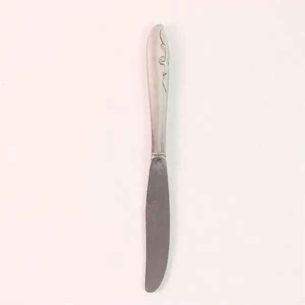 Oneida Silver Decorators Mermaid Pattern SS Dinner Knife 8.5" Rare HTF Piece