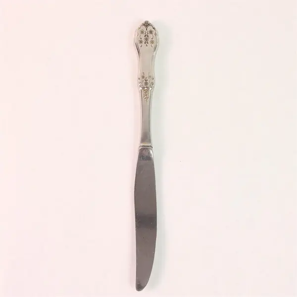 Oneida Silver Morning Lace Pattern SS Black Accent Dinner Knife 9" Long Good