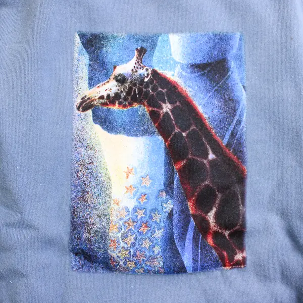 NWOT Vtg Comfort Colors Adult L Blue Giraffe Graphic Crew Neck Pullover Sweater