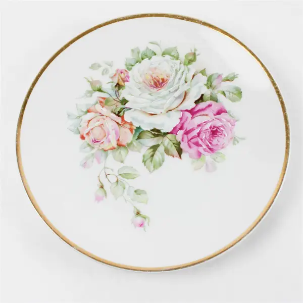 Vintage C.T. Altwasser Silesia Porcelain Roses Gold Rim Collector Plate