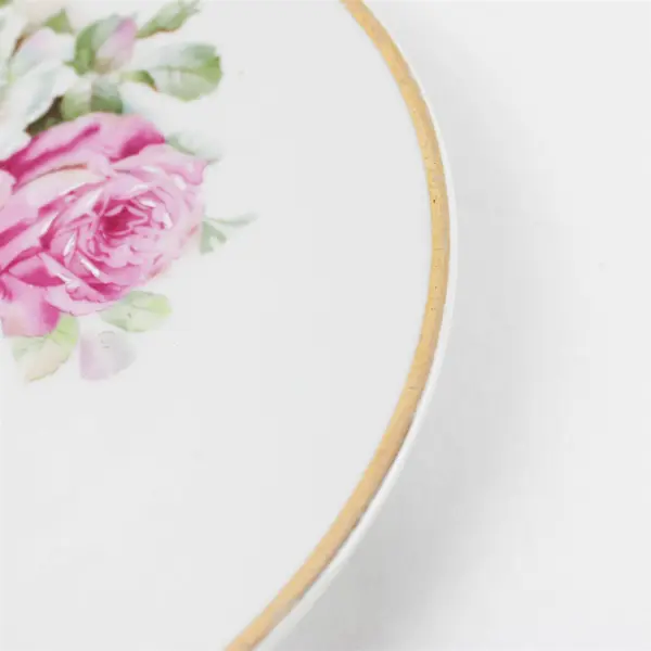 Vintage C.T. Altwasser Silesia Porcelain Roses Gold Rim Collector Plate