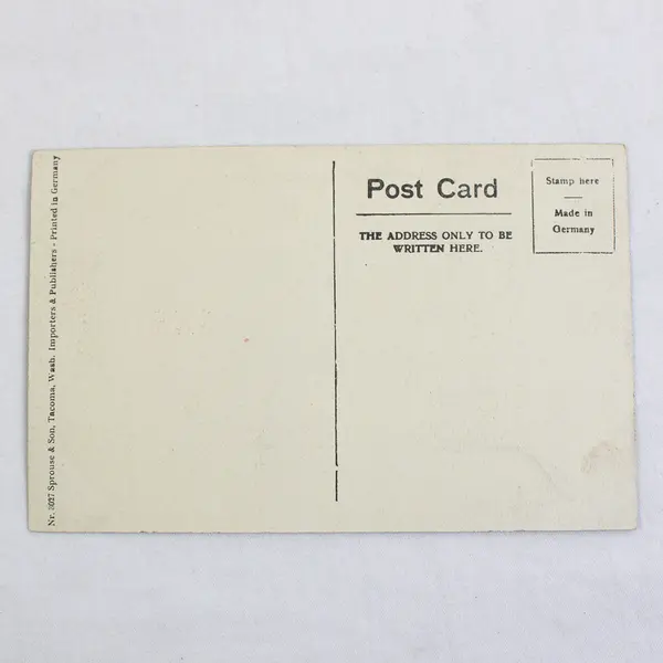 Johnson Hall University Of Oregon Eugene Oregon Litho Postcard Sprouse 1910s