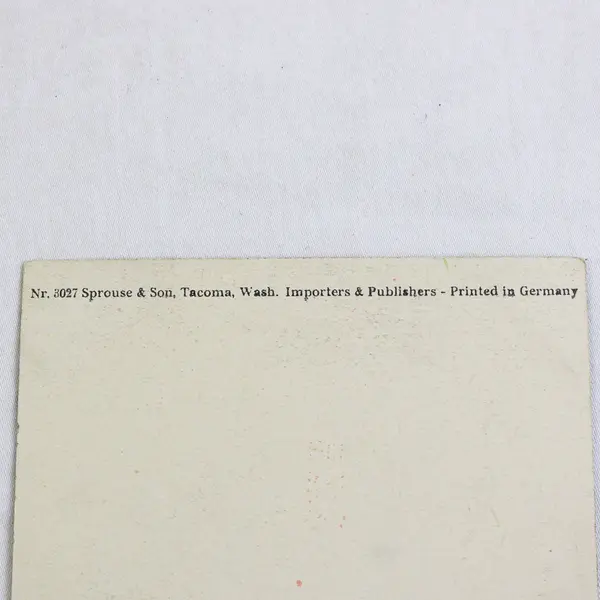 Johnson Hall University Of Oregon Eugene Oregon Litho Postcard Sprouse 1910s