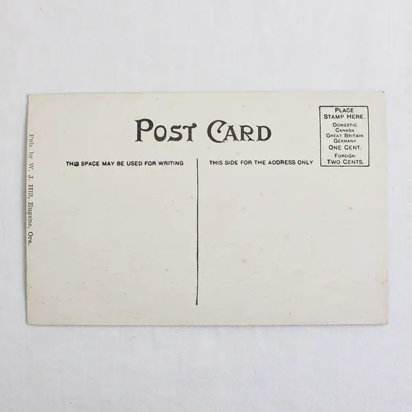 YMCA Building Eugene Oregon Color Litho Postcard W.J. Hill 