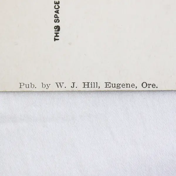 YMCA Building Eugene Oregon Color Litho Postcard W.J. Hill 