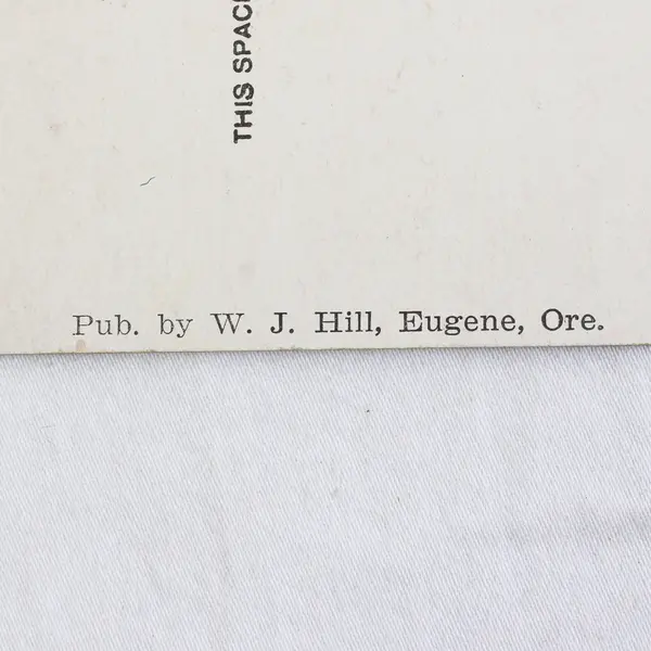 Hotel Osburn Eugene Oregon Color Litho Postcard W.J. Hill 1910s