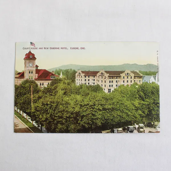 Court House And New Osborne Hotel Eugene Oregon Color Litho Postcard 1910s 
