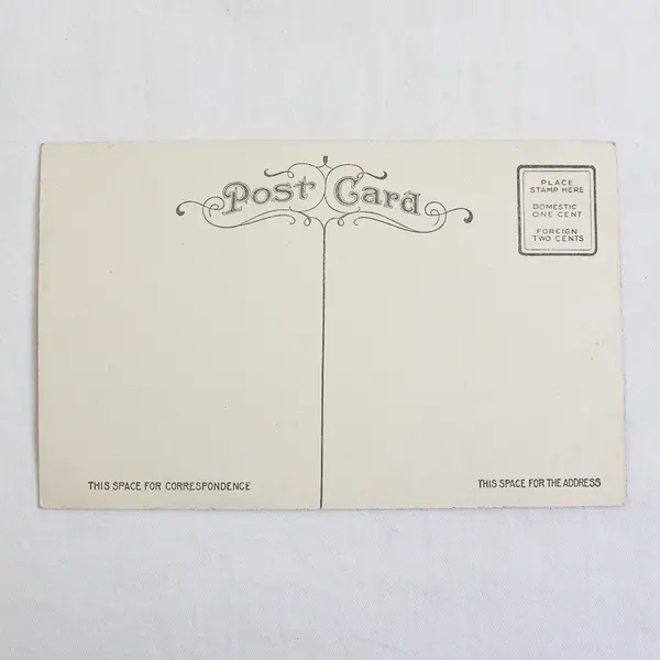 Court House And New Osborne Hotel Eugene Oregon Color Litho Postcard 1910s 