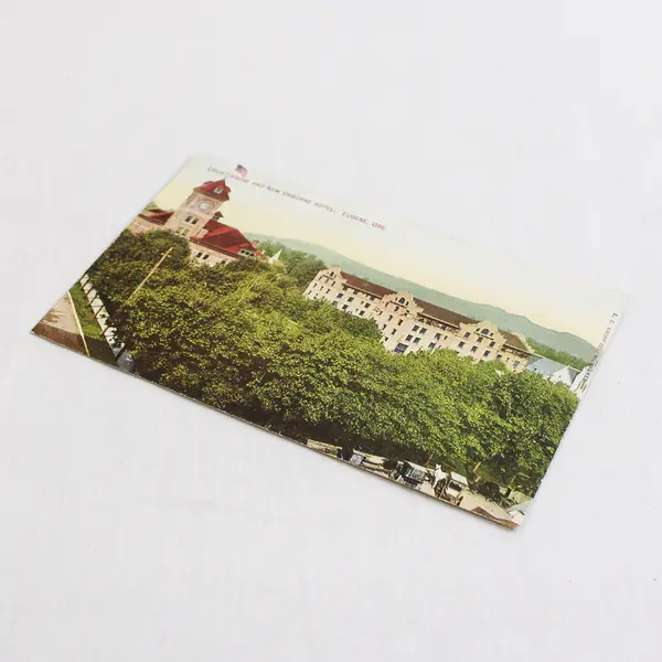 Court House And New Osborne Hotel Eugene Oregon Color Litho Postcard 1910s 