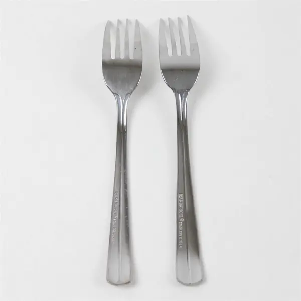 Set of 2 Cambridge Stainless Forks