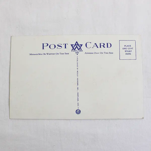 McKenzie River Highway Bridge Eugene Oregon On Pacific Highway Litho Postcard