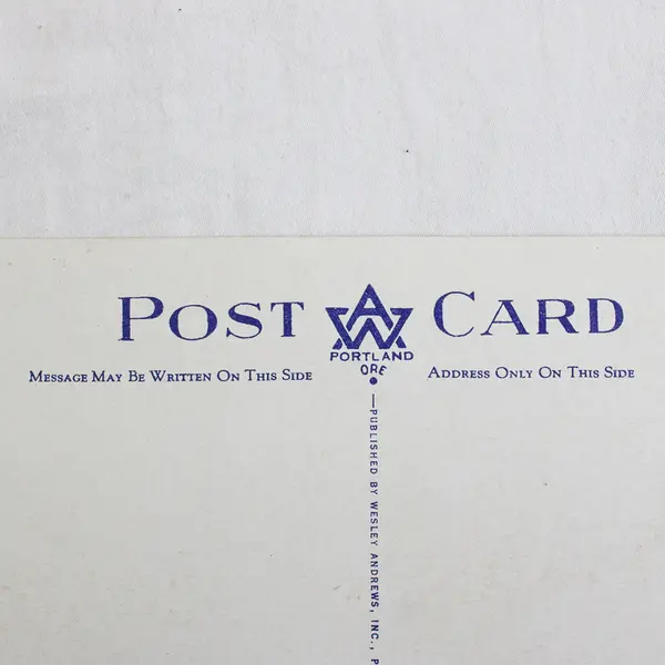 McKenzie River Highway Bridge Eugene Oregon On Pacific Highway Litho Postcard