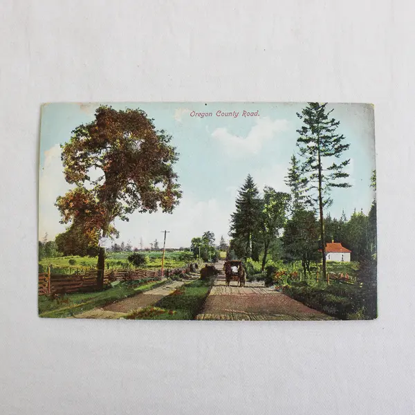 Oregon County Road Color Lithograph Postcard 1910s