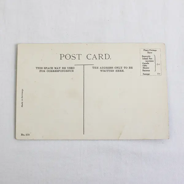 Oregon County Road Color Lithograph Postcard 1910s