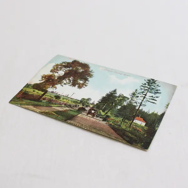 Oregon County Road Color Lithograph Postcard 1910s