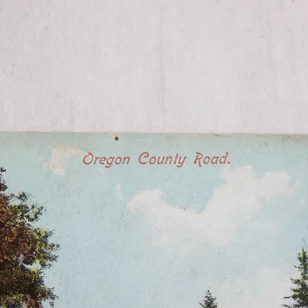 Oregon County Road Color Lithograph Postcard 1910s