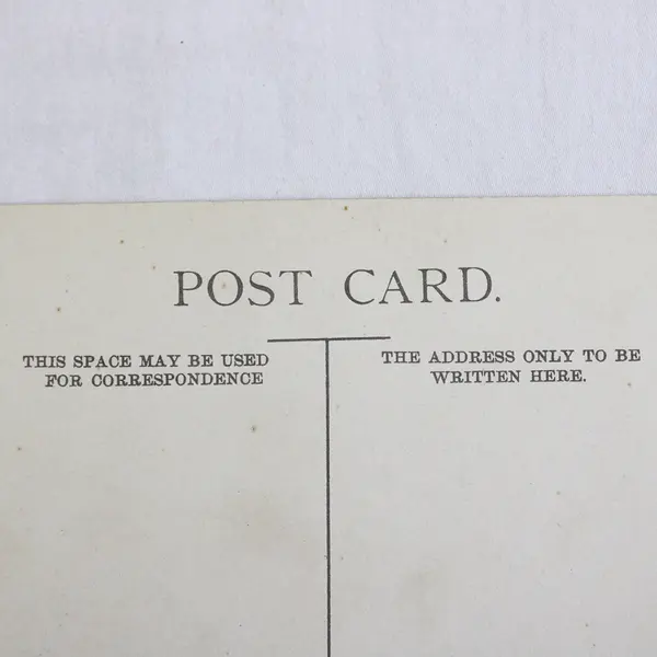 Oregon County Road Color Lithograph Postcard 1910s