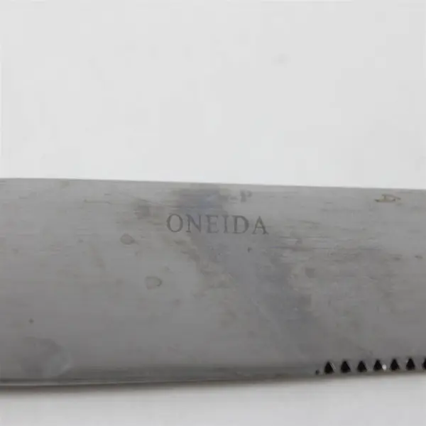Set of 4 Oneida Tiramisu Stainless "New French" Solid Knives