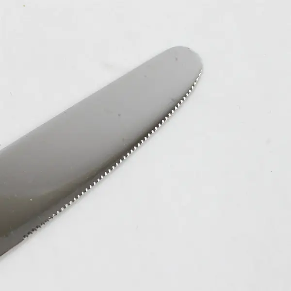 Set of 4 Mikasa Blossom Stainless "New French" Solid Knives