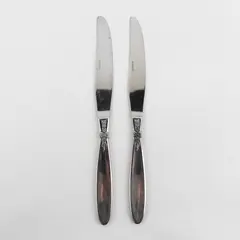 Lot of 2 Oneida Silver Memoir Pattern 18/10 Stainless Dinner Knives 9" Rare HTF